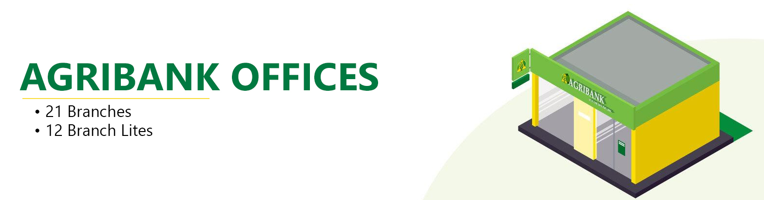 branches-banner